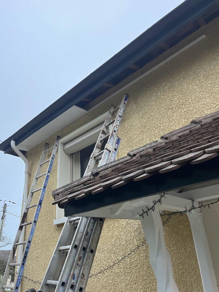 Nouvelle gouttière sombre et sous-face blanche, avec échelles, à Lyon